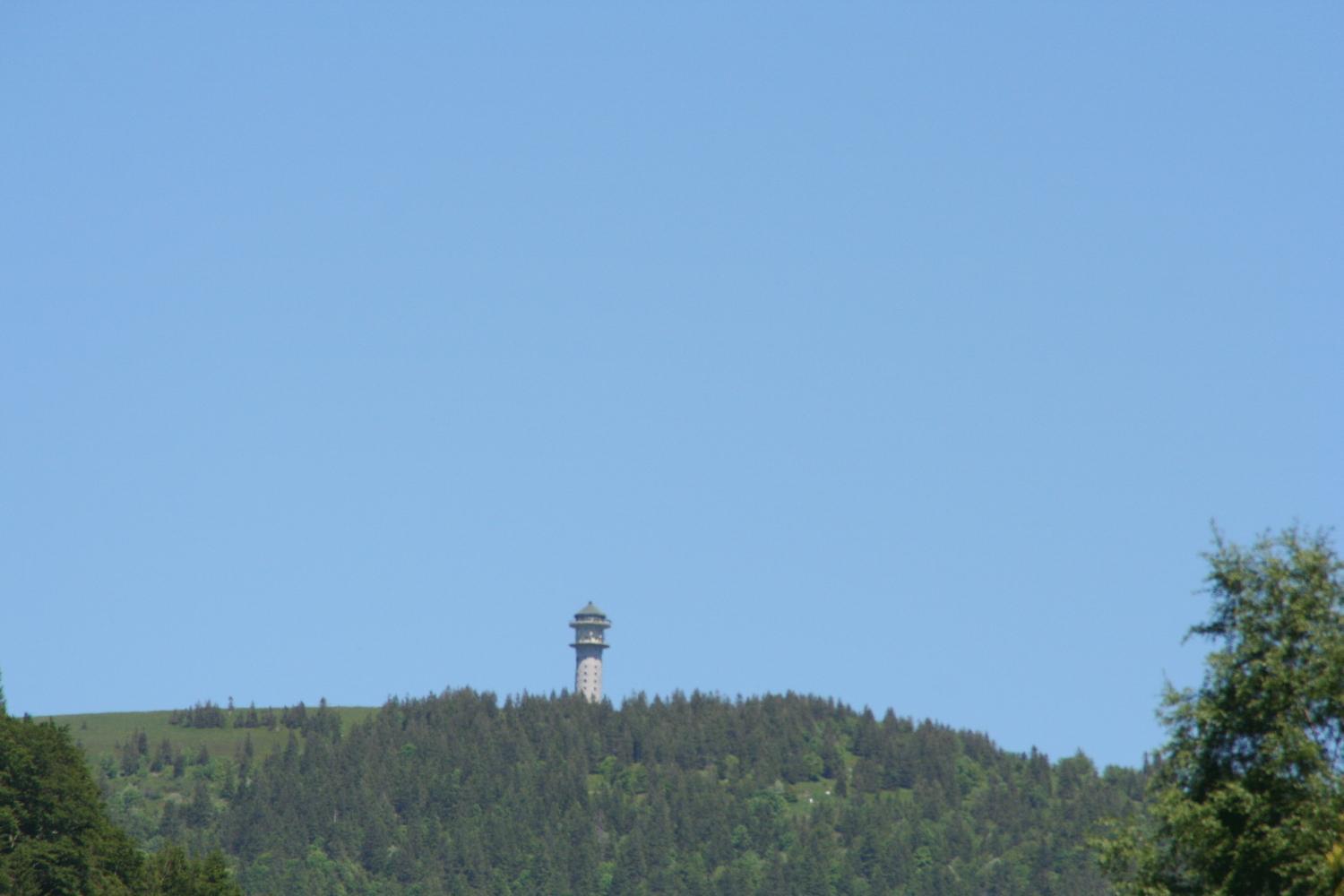 Hotel Gasthaus Hirschen Im Hochschwarzwald Todtnau Nahe Feldberg Eksteriør bilde