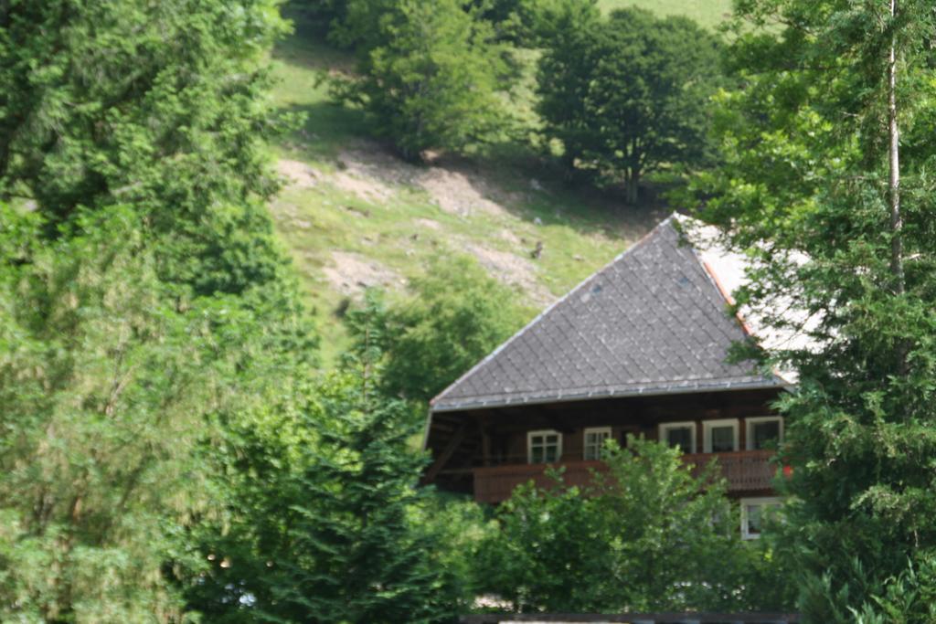 Hotel Gasthaus Hirschen Im Hochschwarzwald Todtnau Nahe Feldberg Eksteriør bilde