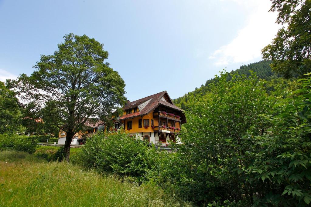 Hotel Gasthaus Hirschen Im Hochschwarzwald Todtnau Nahe Feldberg Eksteriør bilde